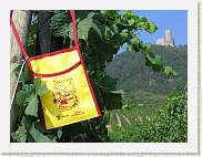 2005-09-04 11-35-44 Sept 78,1mm 1_400_eme F5,0 * 2592 x 1944 * (1.42MB)